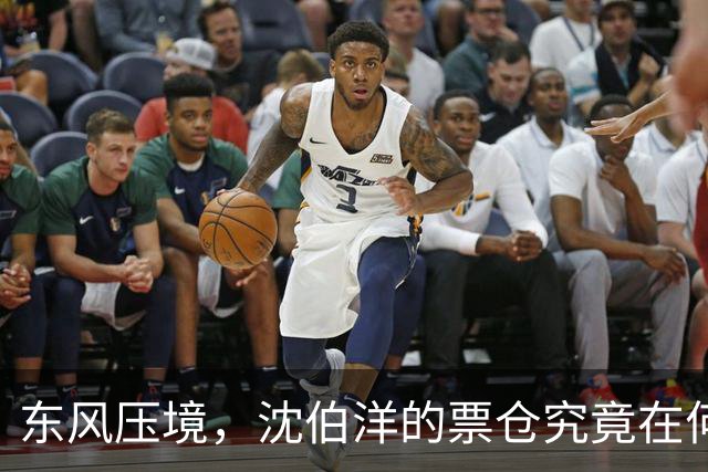 东风压境，沈伯洋的票仓究竟在何方？